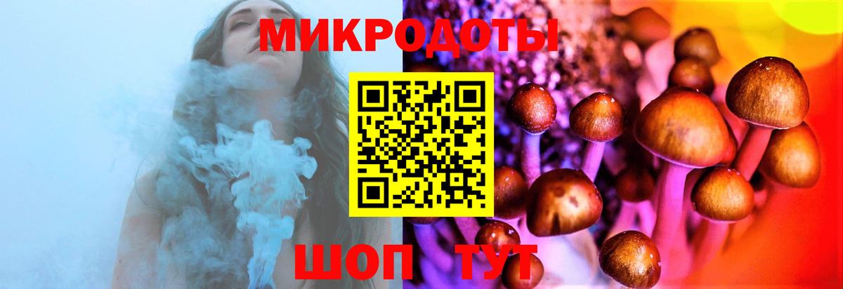 Заволжье  как найти наркотики  Галлюциногенные грибы Magic Shrooms  Вход с VPN  Галлюциногенные грибы GOLDEN TEACHER 